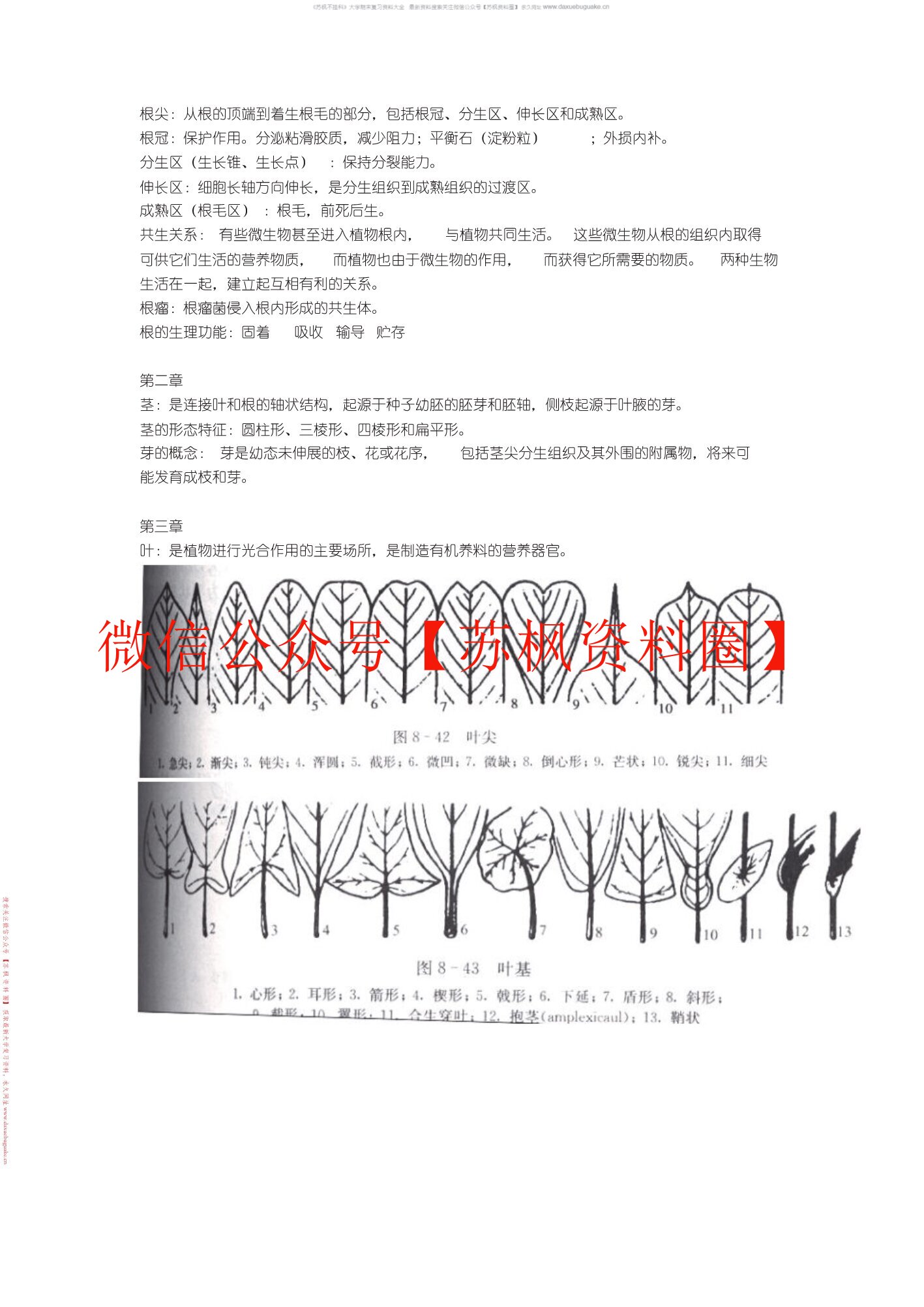 园林植物学